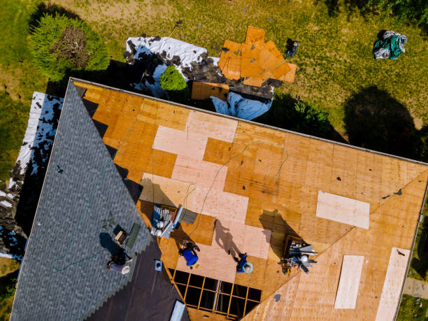 Best Roof Maintenance Services  in Tornado, WV